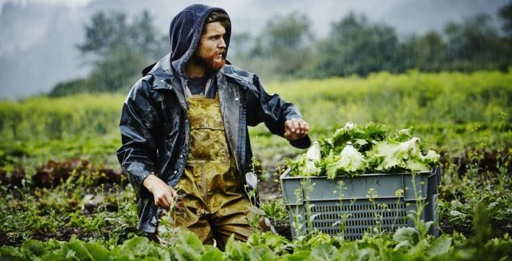 Νερό με νανοφυσαλίδες ποτίζει κατά 40% μεγαλύτερη επιφάνεια καλλιέργειας