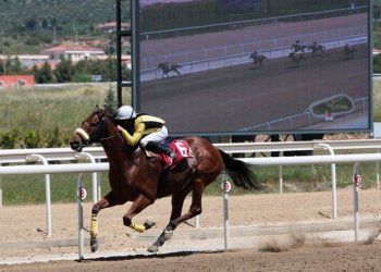 Πλούσιο θέαμα και διασκέδαση για όλους την Κυριακή στο Markopoulo Park – Newsbeast