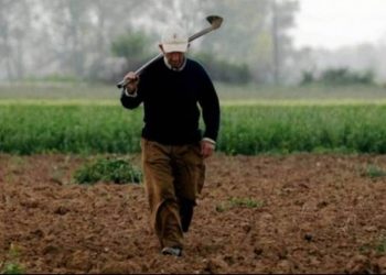 Στις 120 δόσεις και όλες οι οφειλές στον πρώην ΟΓΑ