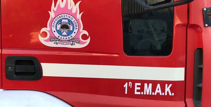 Φωκίδα: Ο διασώστης σκύλος βρήκε τον εξαφανισμένο παππού