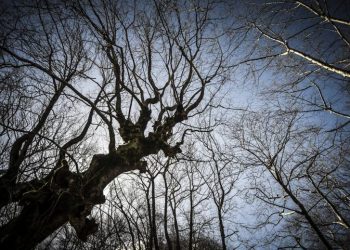 Ο καιρός μέχρι την ημέρα των εκλογών – News.gr