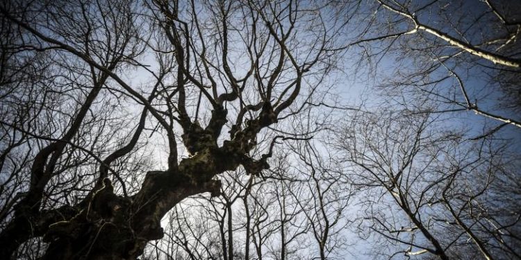 Ο καιρός μέχρι την ημέρα των εκλογών – News.gr