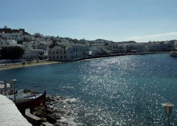 Καλαμάρι a…la Μύκονος: Τι απαντά ο ιδιοκτήτης που πήρε τα 836 ευρώ στη Μύκονο (βίντεο)