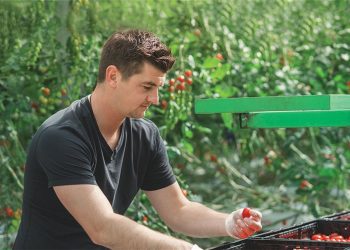 Στρίβειν δια των δικαιωμάτων 100.000 νεοεισερχόμενοι στην γεωργία