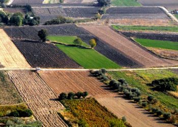 Π.Ε ΗΛΕΙΑΣ: Ενημέρωση για τους καλλιεργητές των αγροτεμαχίων Αγουλινίτσας, Μουριάς και Κάστας