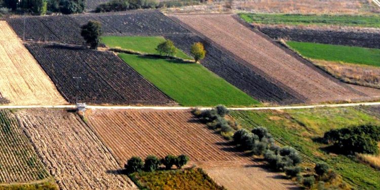 Π.Ε ΗΛΕΙΑΣ: Ενημέρωση για τους καλλιεργητές των αγροτεμαχίων Αγουλινίτσας, Μουριάς και Κάστας