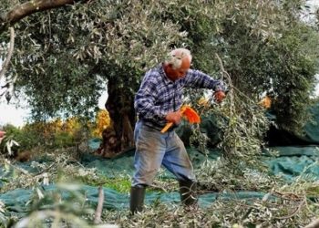 Αραχωβίτης: Αποζημιώσεις από το τέλος του χρόνου στους πληγέντες από το χαλάζι