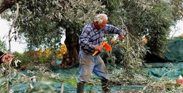 Αραχωβίτης: Αποζημιώσεις από το τέλος του χρόνου στους πληγέντες από το χαλάζι