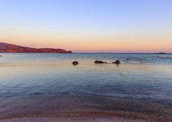 Περπατούσε και είδε μπροστά του πτώμα σε αποσύνθεση
