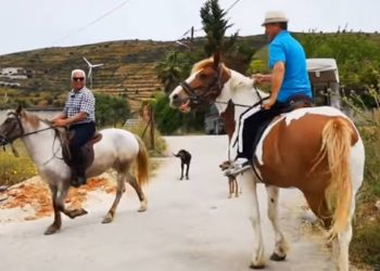 Εκλογές 2019: Δύο φίλοι από το Ναύπλιο πήγαν να ψηφίσουν με άλογα