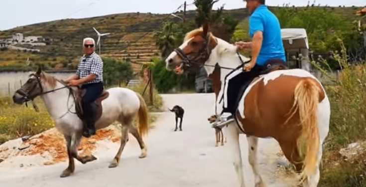 Εκλογές 2019: Δύο φίλοι από το Ναύπλιο πήγαν να ψηφίσουν με άλογα