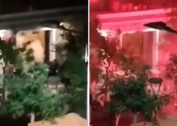 Το βίντεο από τις βίαιες συμπλοκές στα Πετράλωνα – News.gr