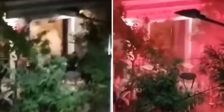 Το βίντεο από τις βίαιες συμπλοκές στα Πετράλωνα – News.gr