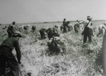 Η μάχη της Σοδειάς: Η επιχείρηση έξω από το Κοπανάκι