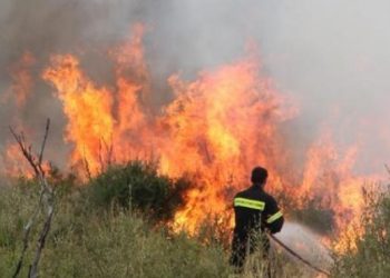 Πυρκαγιές σε Μαζαράκι Πηνείας και Γεράκι Αμαλιάδας