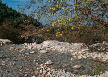 “ΟΙΚΟΛΟΓΙΚΗ ΔΥΤΙΚΗ ΕΛΛΑΔΑ”: “Το υγιές περιβάλλον, όρος για την επιβίωσή μας”