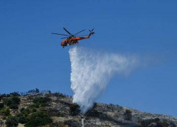 Υπό πλήρη έλεγχο η φωτιά στο Λαγονήσι – Newsbeast