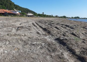 ΠΡΟΕΔΡΟΣ ΕΒΕ ΗΛΕΙΑΣ ΠΡΟΣ ΥΠΟΥΡΓΟ ΝΑΥΤΙΛΙΑΣ: “Αντιμετωπίστε το πρόβλημα με τον μεγάλο όγκο φυκιών στην παραλία Κατακόλου”