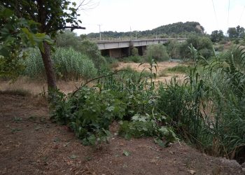 Ο Αλφειός ποταμός….