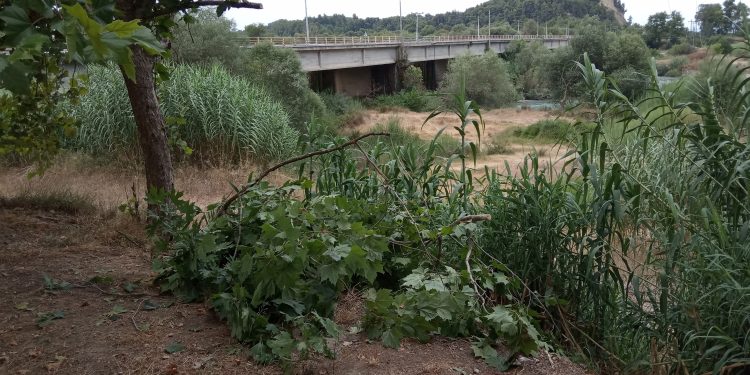 Ο Αλφειός ποταμός….