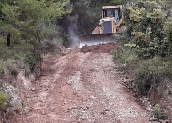 ΔΑΣΑΡΧΕΙΟ ΠΥΡΓΟΥ: Νέες εργολαβίες  για την συντήρηση  των δασικών δρόμων