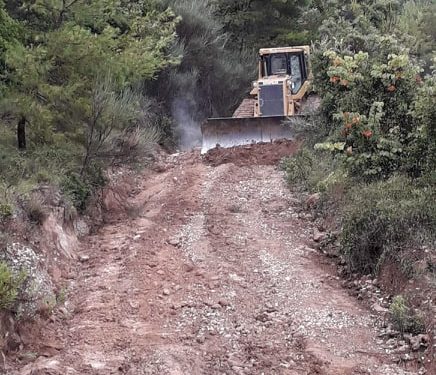 ΔΑΣΑΡΧΕΙΟ ΠΥΡΓΟΥ: Νέες εργολαβίες  για την συντήρηση  των δασικών δρόμων