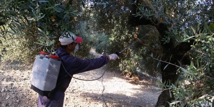 ΓΕΝΙΚΗ ΔΙΕΥΘΥΝΣΗ ΠΕΡΙΦΕΡΕΙΑΚΗΣ ΑΓΡΟΤΙΚΗΣ ΟΙΚΟΝΟΜΙΑΣ ΚΑΙ ΚΤΗΝΙΑΤΡΙΚΗΣ Π.Ε ΗΛΕΙΑΣ: Συνεχίζονται οι δολωματικοί ψεκασμοί