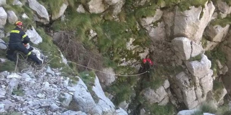 ΑΣΠΡΑ ΣΠΙΤΙΑ ΑΡΧΑΙΑΣ ΟΛΥΜΠΙΑΣ: Ι.Χ. εντοπίστηκε σε χαράδρα!