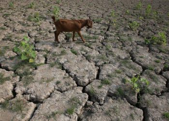 Γερμανία: Ανησυχία για πιθανά φαινόμενα λειψυδρίας
