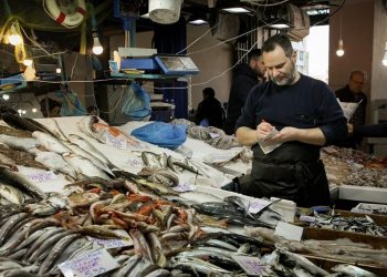 Ιστορικό χαμηλό τιμών σε λαβράκι και τσιπούρα