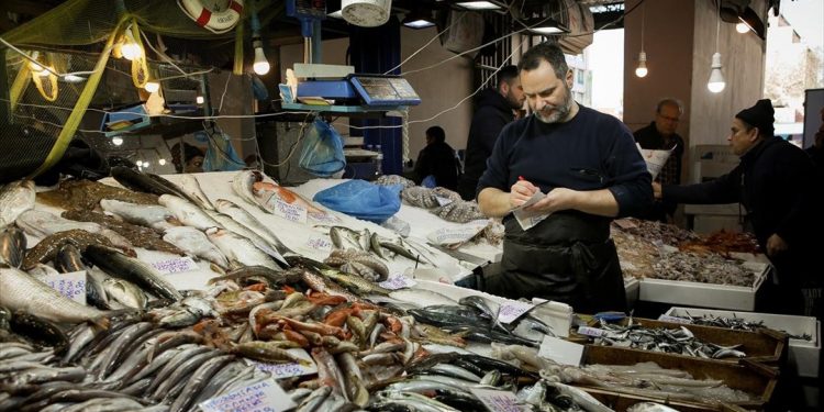 Ιστορικό χαμηλό τιμών σε λαβράκι και τσιπούρα