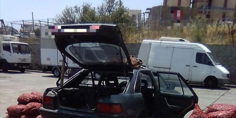 Καβάλα: Μετέφερε παράνομα πάνω από έναν τόνο οστράκων