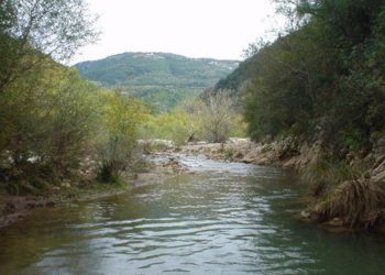 ΠΕΡΙΦΕΡΕΙΑ ΔΥΤΙΚΗΣ ΕΛΛΑΔΑΣ: Μελέτη αντιπλημμυρικών έργων και οριοθέτηση ποταμού Νέδα Π.Ε. Ηλείας