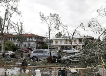 Χαλκιδική: Αγώνας δρόμου των φορέων για την επούλωση των πληγών