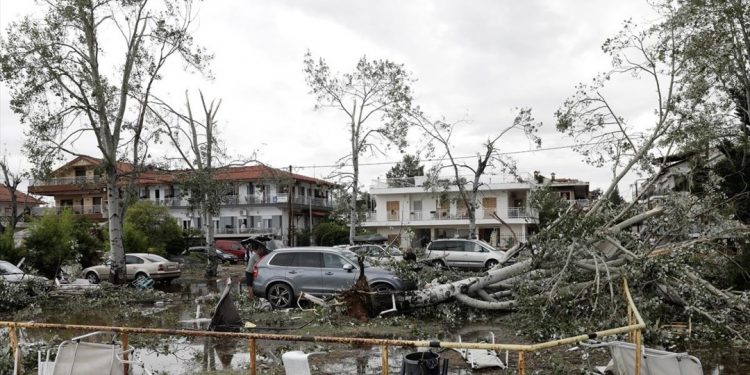 Χαλκιδική: Αγώνας δρόμου των φορέων για την επούλωση των πληγών