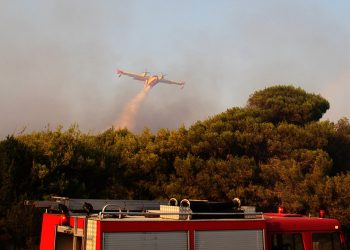 Πυρκαγιά σε δασική έκταση στην Αρχαία Ολυμπία – News.gr