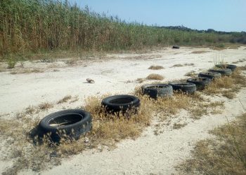 ΣΥΛΛΟΓΟΣ ΦΙΛΩΝ ΛΙΜΝΗΣ ΜΟΥΡΙΑΣ ΚΑΙ ΑΛΦΕΙΟΥ ΠΟΤΑΜΟΥ: κόμα και ένα μικρό κομμάτι της λίμνης μπορεί να αναγεννηθεί!