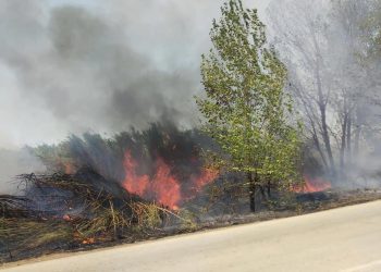 Πυρκαγιά σε καλαμιές κοντά σε θερμοκήπια στη Μανωλάδα