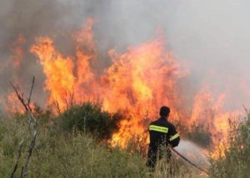 Συνελήφθη 43χρονος για εμπρησμούς πλησίον του νεκροταφείου Μανωλάδας
