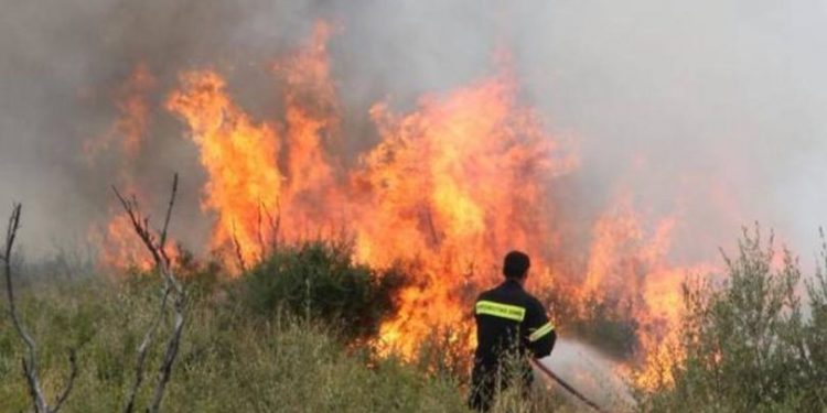 Συνελήφθη 43χρονος για εμπρησμούς πλησίον του νεκροταφείου Μανωλάδας