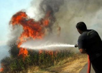 Πυρκαγιά στον Καρδαμά Ήλιδας