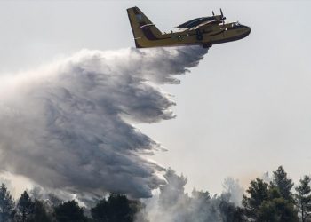 Εύβοια: Αγωνιώδεις προσπάθειες για να περιοριστεί η πυρκαγιά