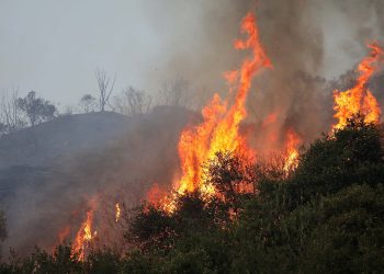 Πυρκαγιά στο Λαγανά Πηνείας
