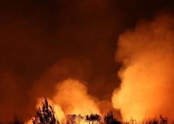 Μάχη με τις φλόγες σε Εύβοια, Θάσο και Βοιωτία