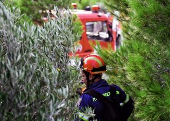 Πυρκαγιά στον Δορίσκο Έβρου | naftemporiki.gr