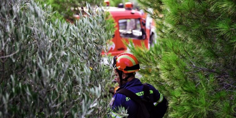 Πυρκαγιά στον Δορίσκο Έβρου | naftemporiki.gr