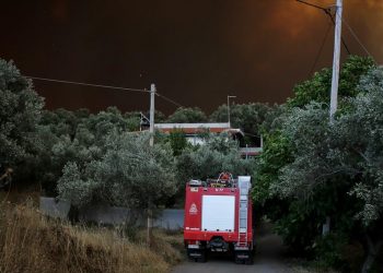 Πυροσβεστική: 56 δασικές πυρκαγιές το τελευταίο 24ωρο