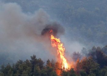 Συλλήψεις για εμπρησμούς σε Μεσσηνία και Ηλεία