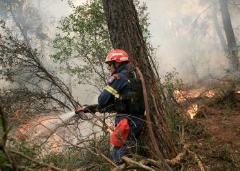 Υπό μερικό έλεγχο οι πυρκαγιές σε Γιάννενα, Ηλεία και Νάξο