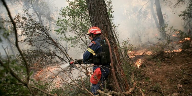 Υπό μερικό έλεγχο οι πυρκαγιές σε Γιάννενα, Ηλεία και Νάξο